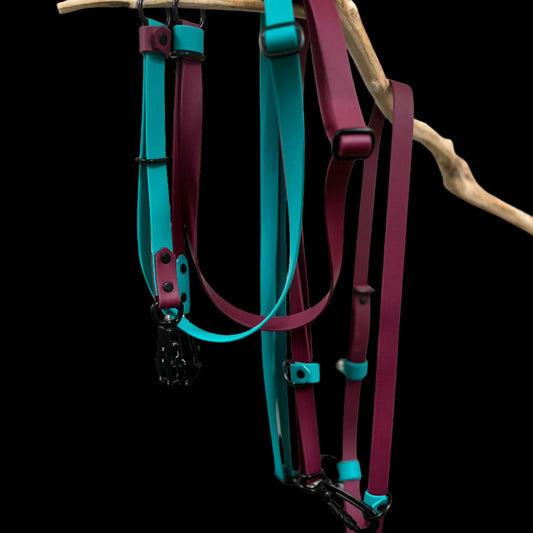 Hands-Free Multi-Dog System