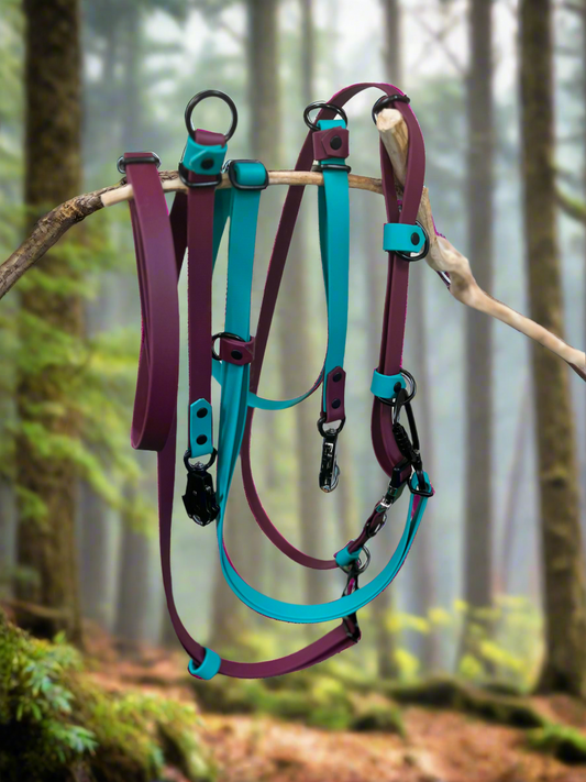 Hands-Free Multi-Dog System