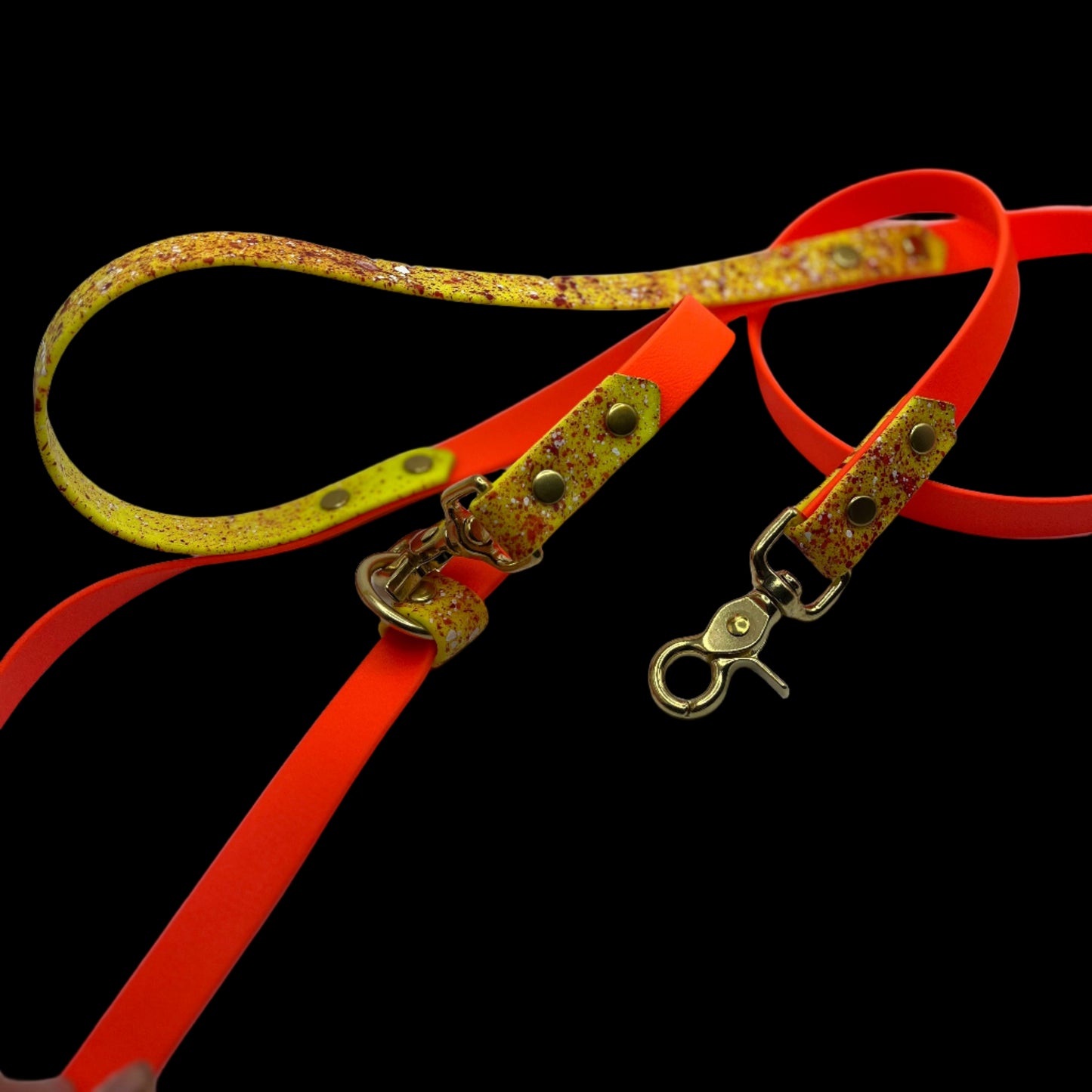 Convertible Leash