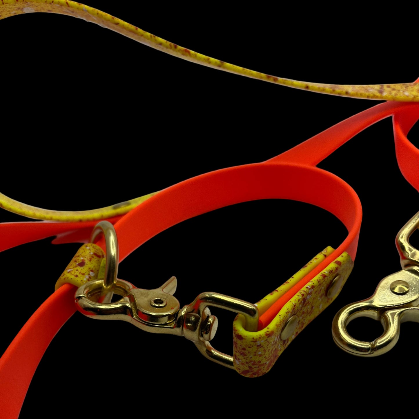 Convertible Leash
