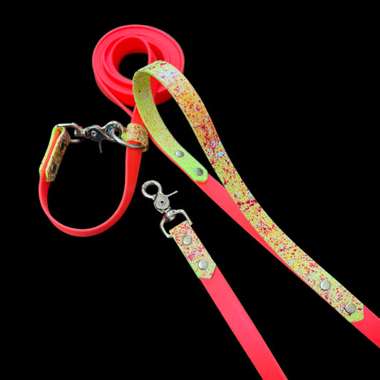 Convertible Leash
