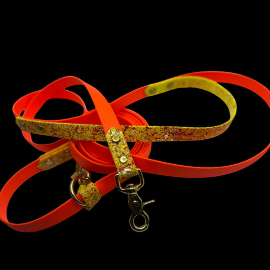 Convertible Leash